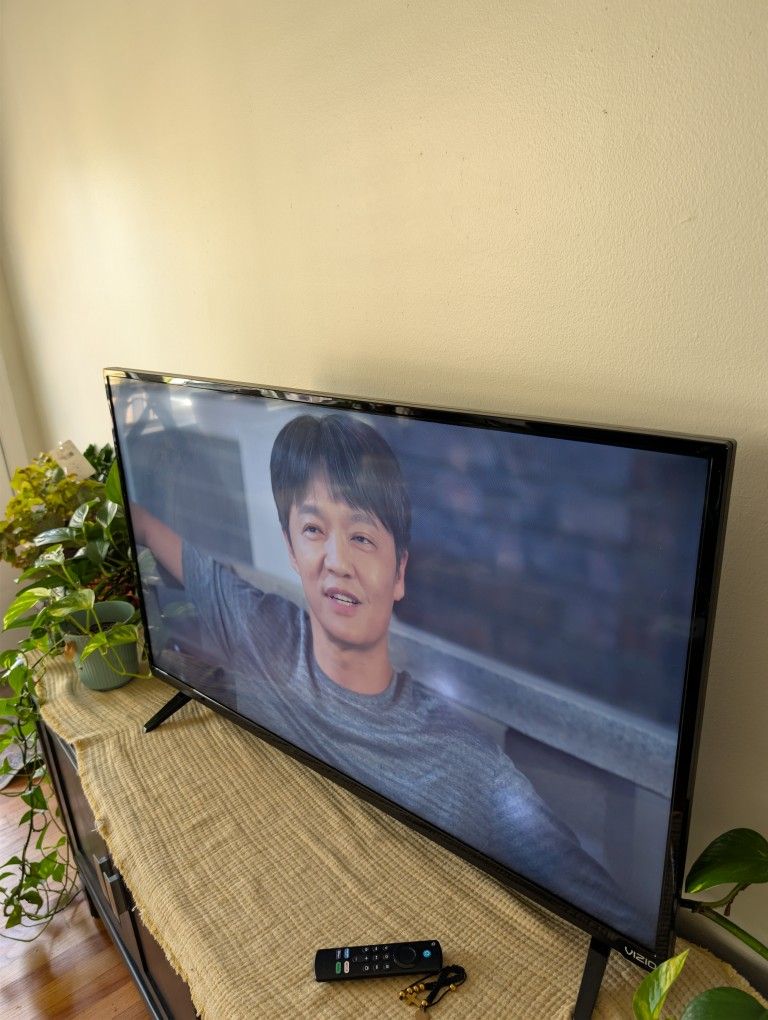 Vizio 40 Inch Smart Tv