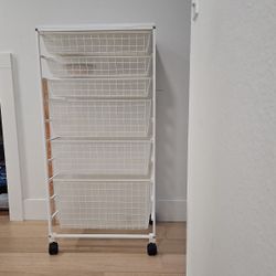 $85 Each - 2 Available For $170.  Ella Container Store  Tall Storage Solution 41 High, 22 Wide, 17 Deep.  