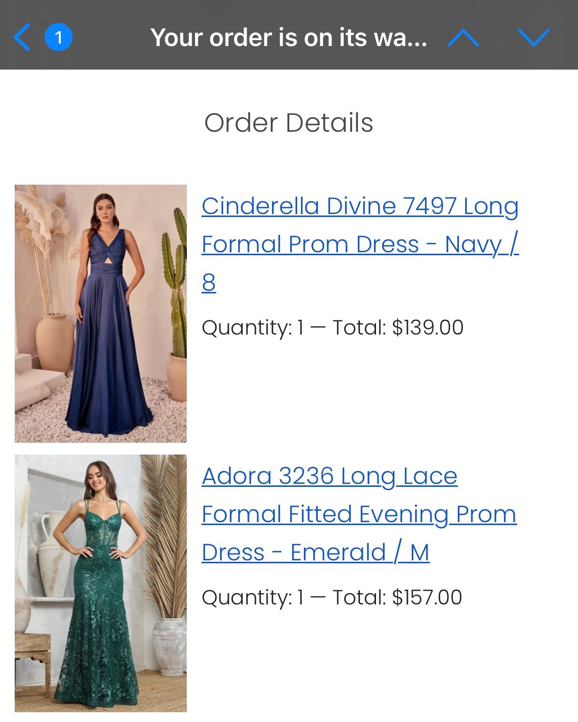 Two Brand New Prom Dresses From The Dress Outlet