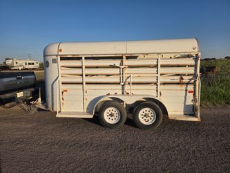Cattle Trailer