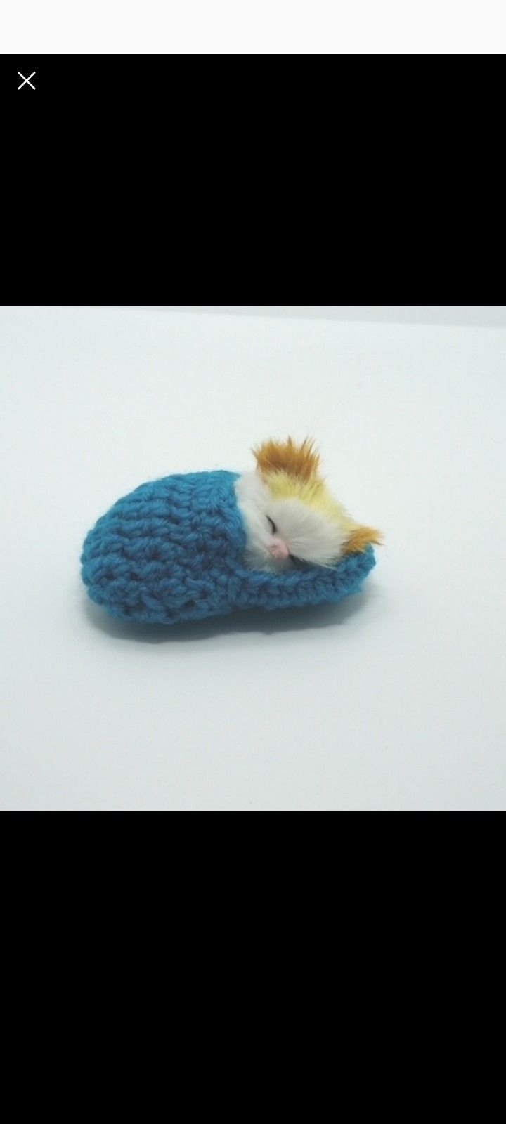 Mini sleeping kitten in yarn slipper decor