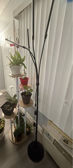 Grow light with timer
