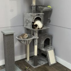 Cat Tree for Large Cats .🐈 