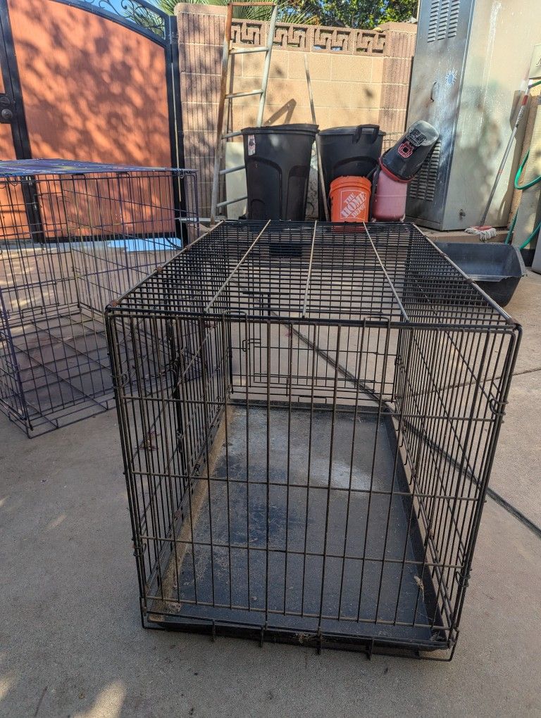 Medium Dog Kennel