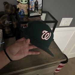 Brand new Washington Nationals hat w/ pin