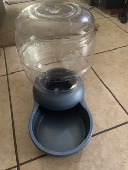 Dog Water Dispenser