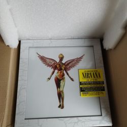 NIRVANA IN UTERO SUPER DELUXE 
