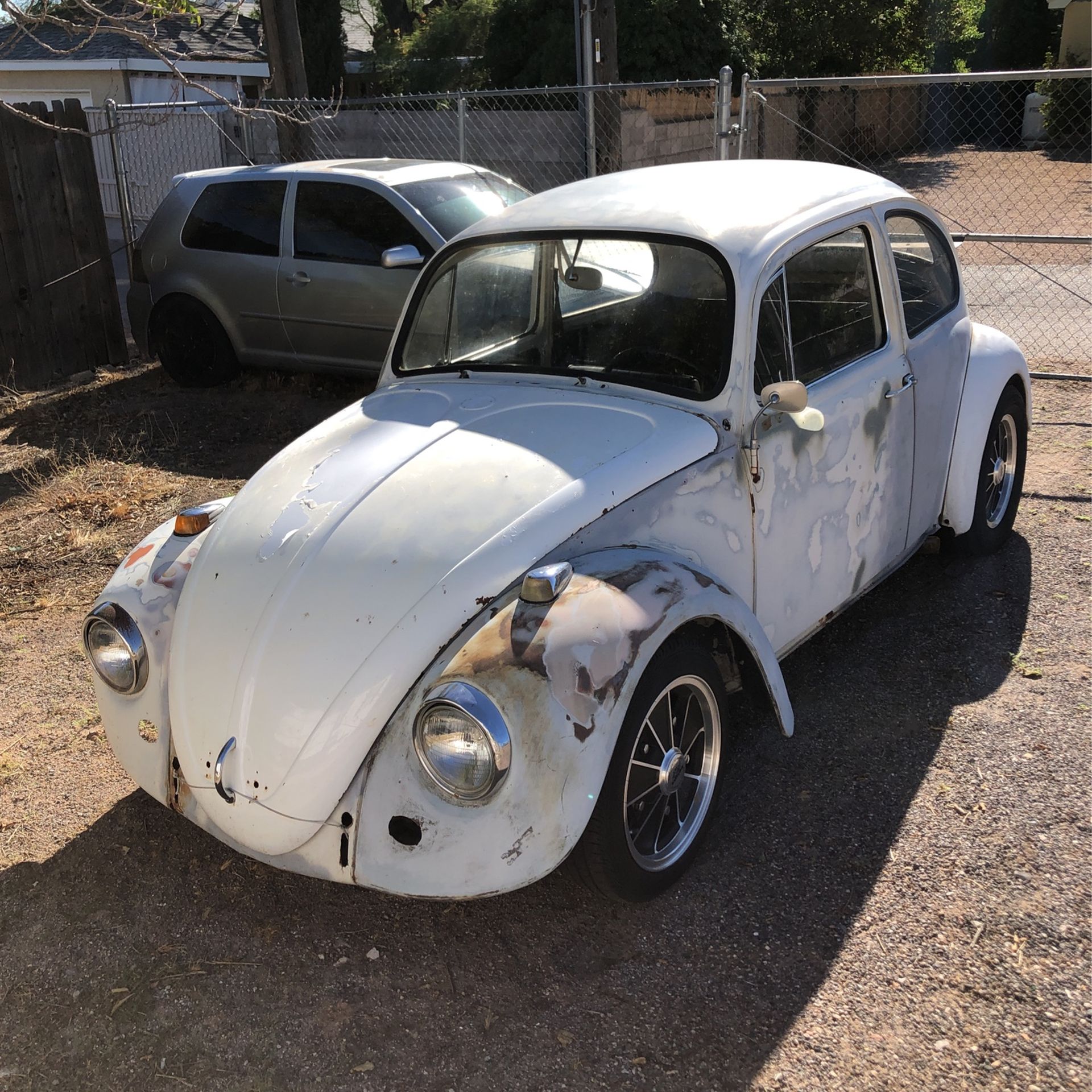 1967 VW Bug