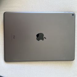 Mint 2019 iPad Air 3 with case and pen