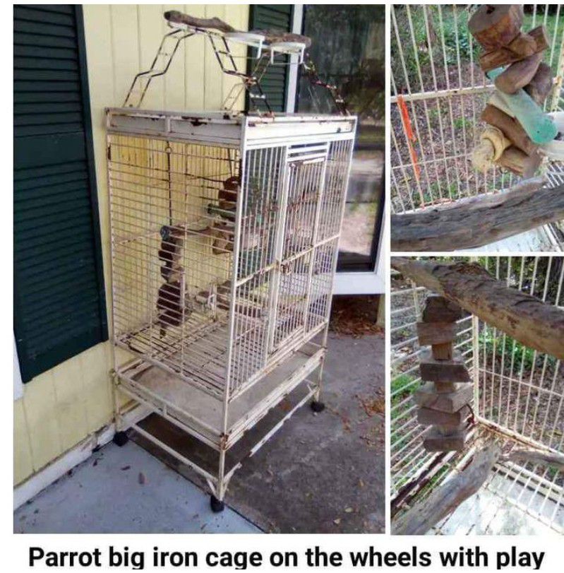 Pet, Birds, Parrot Cage 