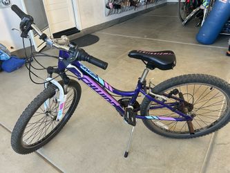 Girls Schwinn mountain bike