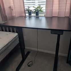 Standing Desk