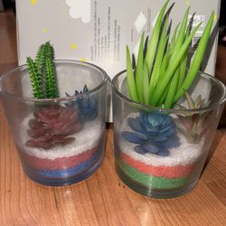 Plant Decor 