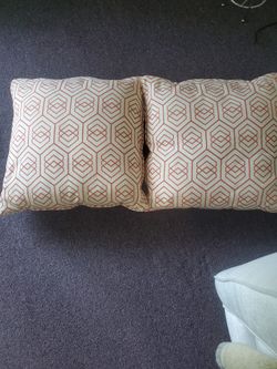 Two Geometric Decorative Pillows