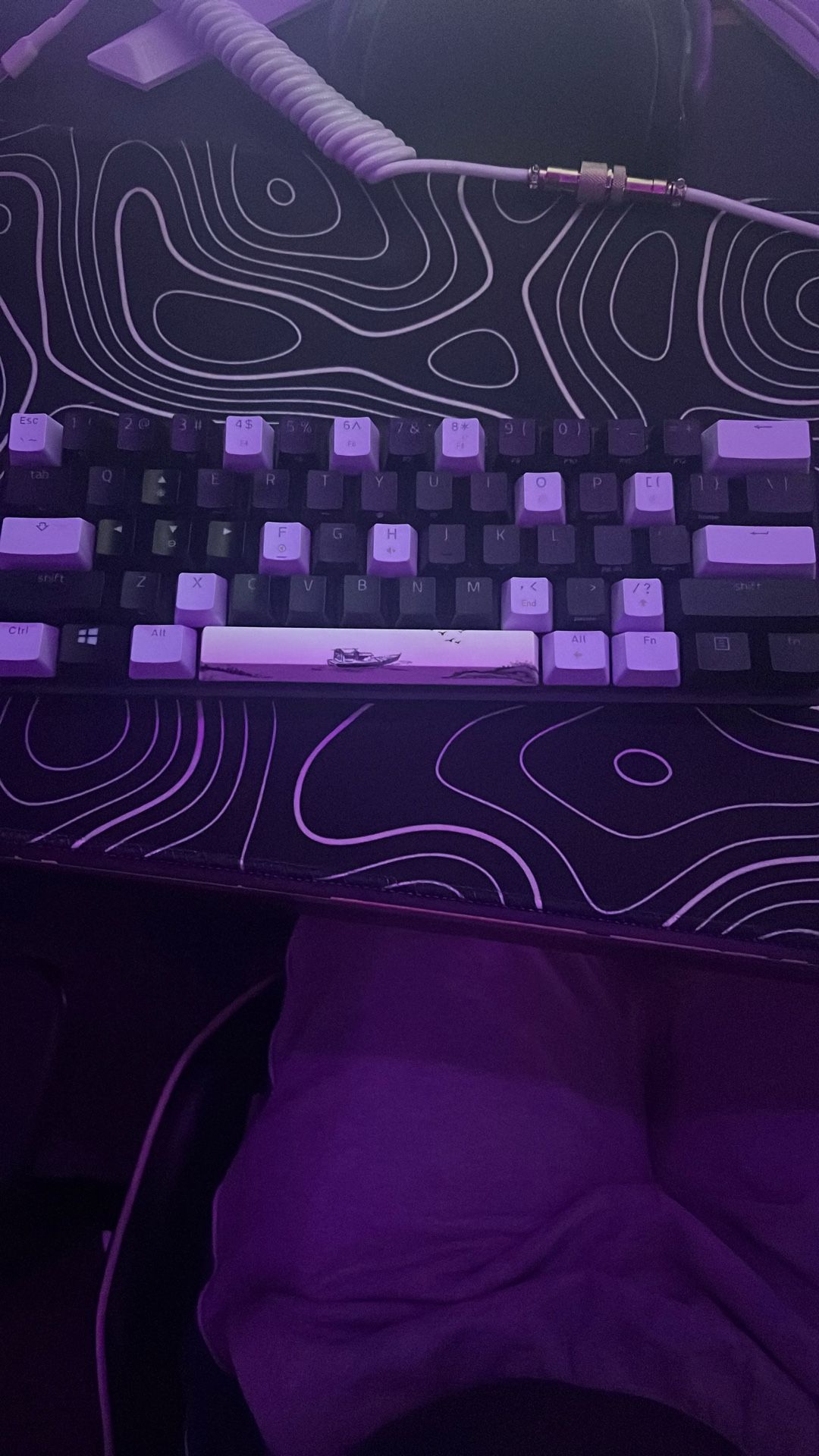 Custom Razer Keyboard