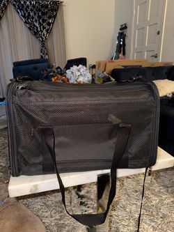 Pet carrier TSA approved