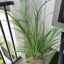 Faux Patio Plant (decor)