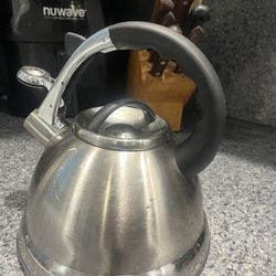 Super Capsuled Bottom Stainless Steel Tea Kettle