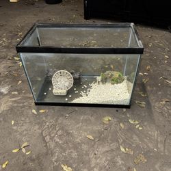 30 Gallon Fish Tank
