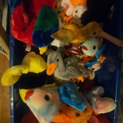Beanie Babies