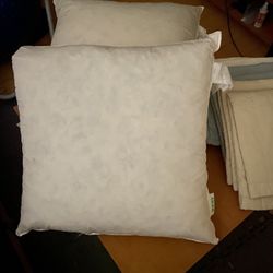 (2) 20x20 Pillows With Various Covers