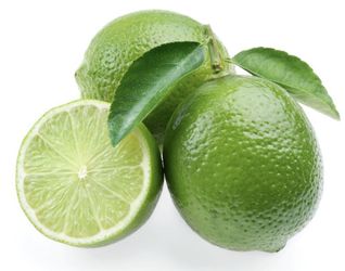 Bearss Lime