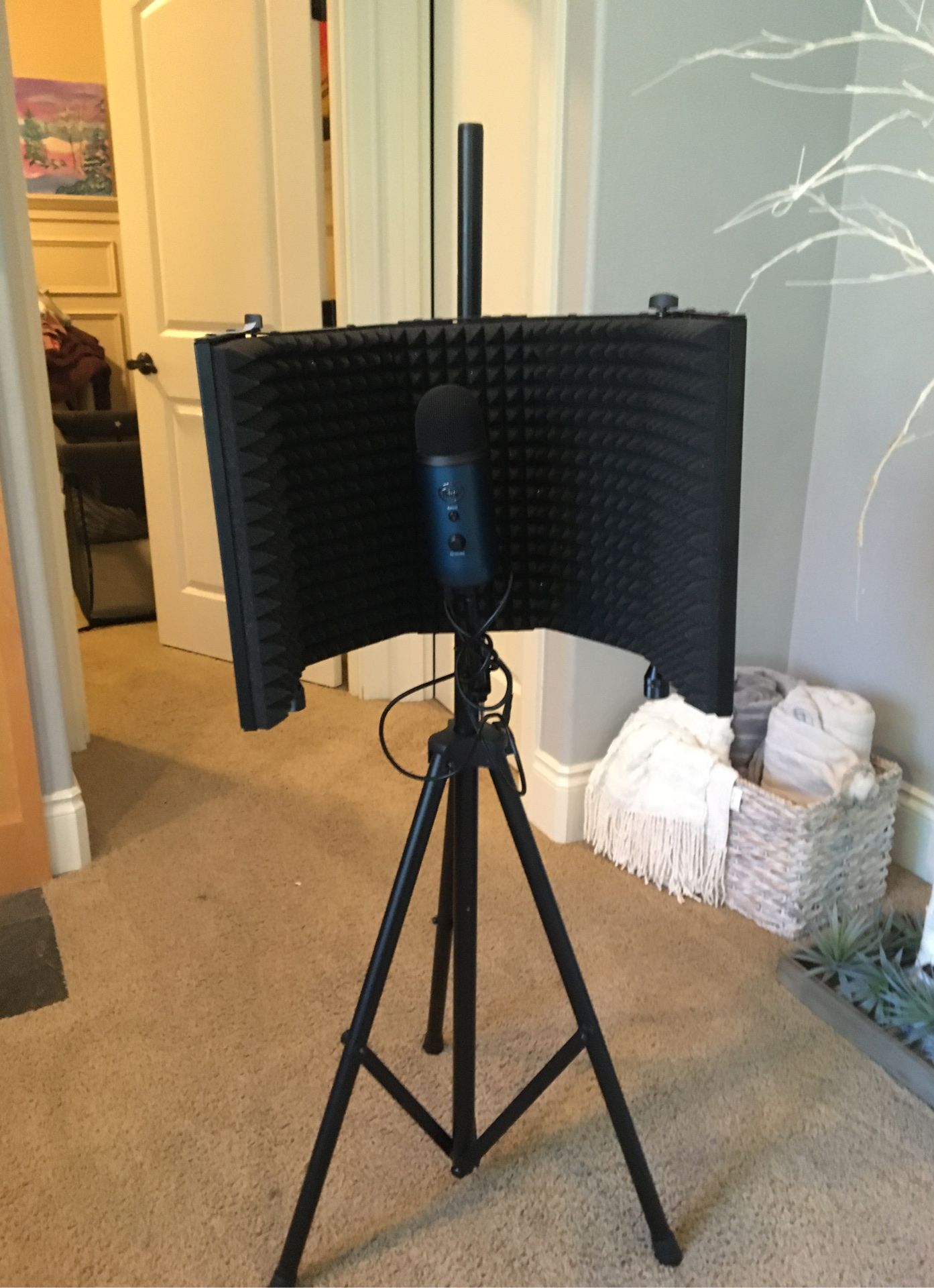 BLUE YETI MIC WITH STUDIO AND STAND, and a zingyou BM-800 MIC WITH TABLLE HANG AMD EXTRA FILTERS