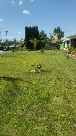 Jardinero