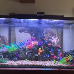 90gal Tank  Does Not Hold Water Reptile Use Only