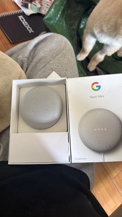 Nest Mini 2nd generation