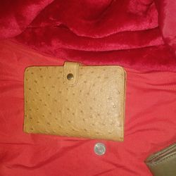 Pocket Ostrich Organizer 