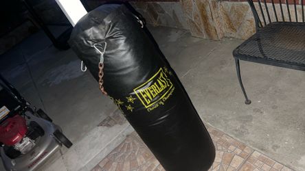 Everlast Punching Bag