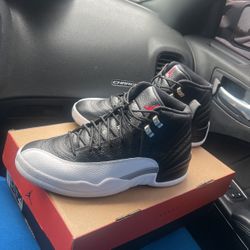 Jordan 12 Taxi