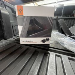 Tesla Floor Mat / Trunk Organizer 