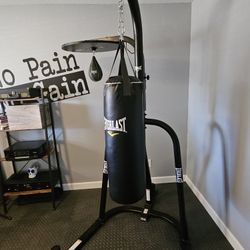 Everlast Punching Bag