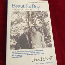 Beautiful Boy book