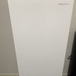 Stand Up Freezer 