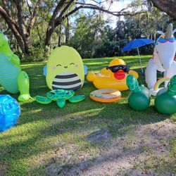 Pool Flots 