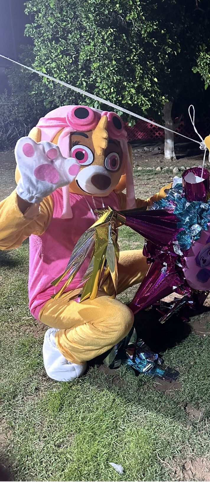 Skye Paw Patrol Mascot