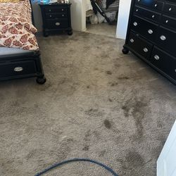 Carpet Cleaner 