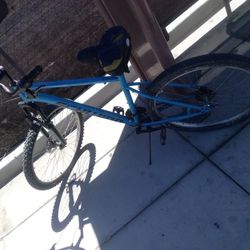 Schwinn 