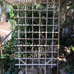 Trellis 38”x48” NEW 