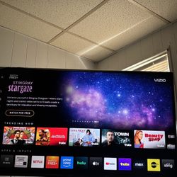 For Sale - Vizio 55” W/ Swivel TV Mount