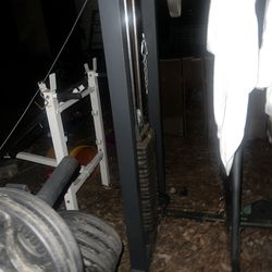 Assisted Pull Up Dip Machine 