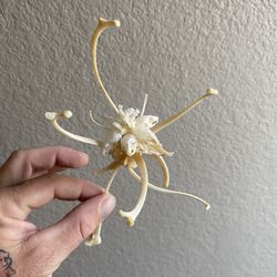 Bone Flower Sculpture 