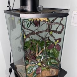 Reptile Cage