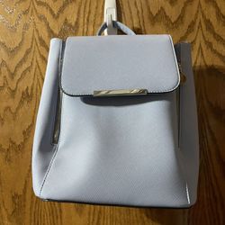 Light Blue Backpack Purse 