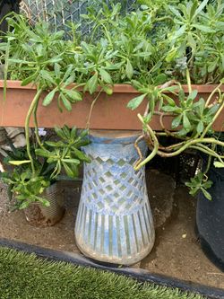 Plant And Stand. The Stand Is About A Ft Tall 