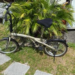 Adult Folding Bike