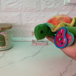 Full Beans Beanie Baby! Shelly The Turtle!